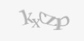 Защитный код